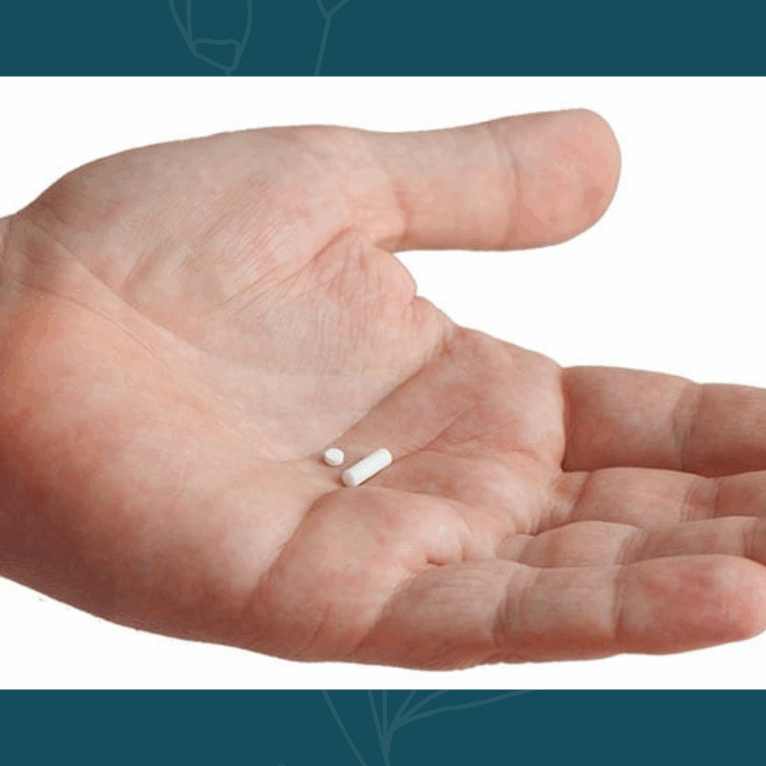 What is pellet therapy? - Guiding Star Tampa